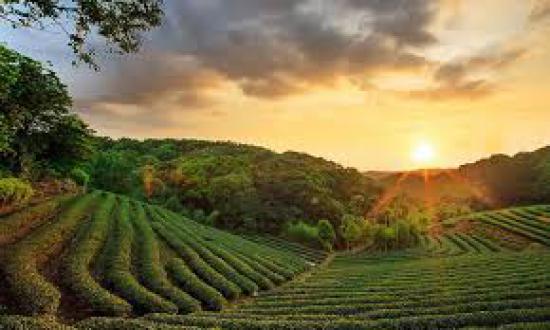 BANGLORE,MYSORE&OOTY